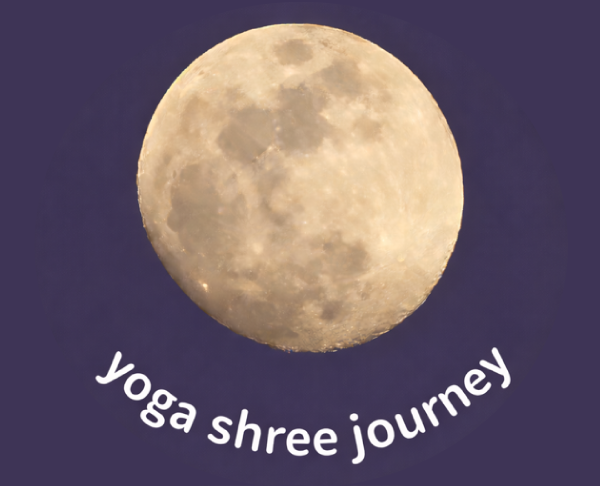 RYT200も習得可能！フィットネスやエアリアルヨガの体験なら平塚市エリアの当店へ！